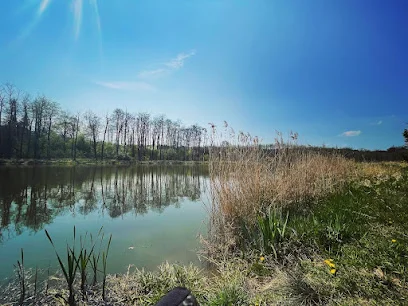 Rezerwat Perna